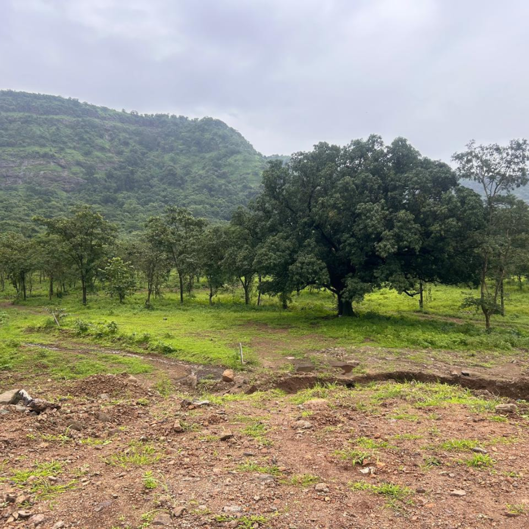 add a little bit of body text (1)